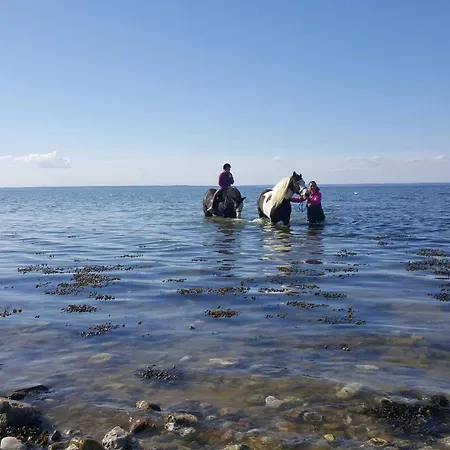 18 Person In 펜션 *